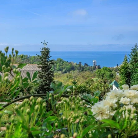 Краснодарский край, Сочи, ул. Ручей Видный, 20/54А